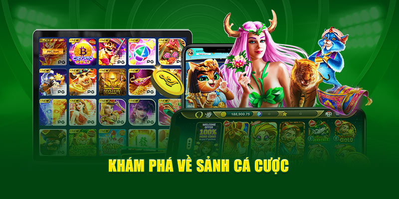 Khám phá về sảnh cá cược